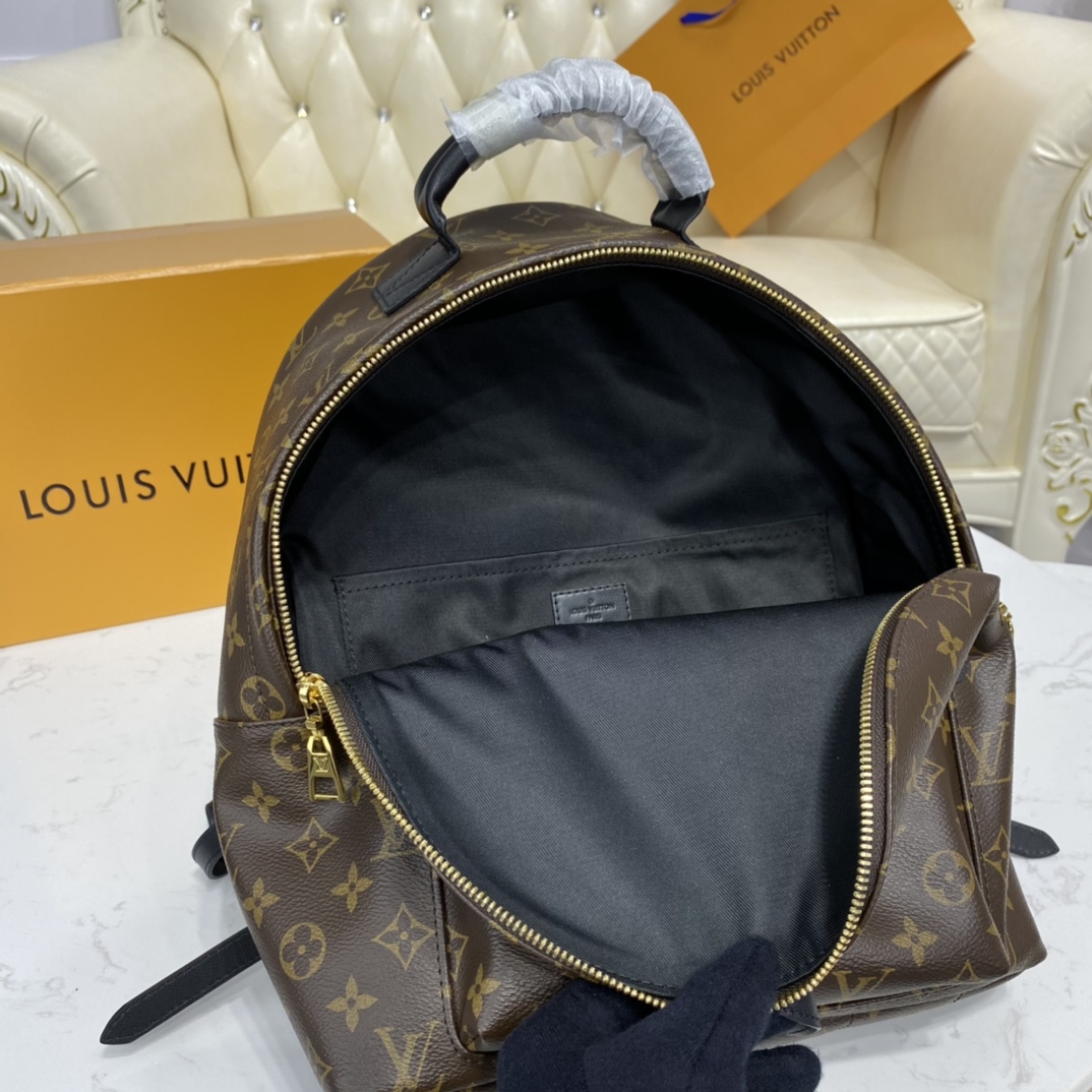 Louis Vuitton PALM SPRINGS MM Backpack Monogram M44874